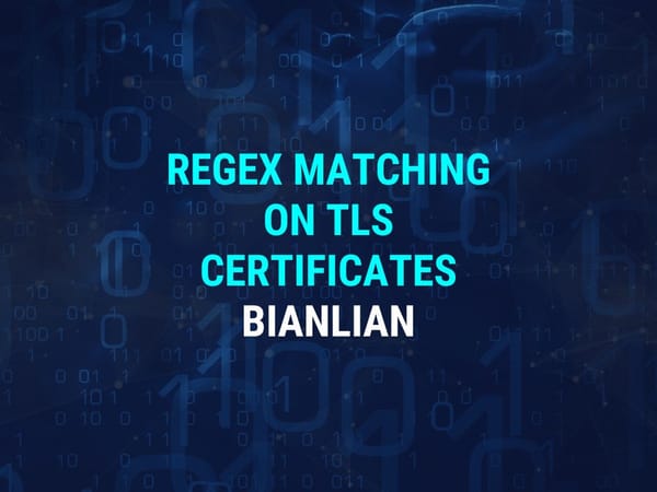 How To Build Advanced Threat Intelligence Queries Utilising Regex and TLS Certificates - (BianLian)